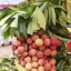 মৌসুমি ফল